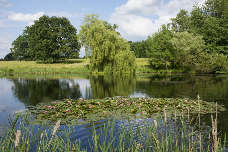 Kelvedon Hall, Brentwood